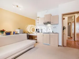 Pronájem bytu 1+kk, Praha - Hlubočepy, Werichova, 28 m2