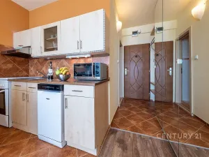 Prodej bytu 1+1, České Budějovice - České Budějovice 2, J. Opletala, 36 m2