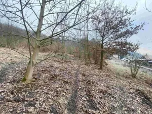 Dražba louky, Ryjice, 3310 m2