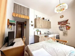 Prodej bytu 1+1, Havířov, Elišky Krásnohorské, 36 m2