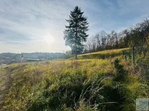 Prodej pozemku pro bydlení, Krnov, 1306 m2