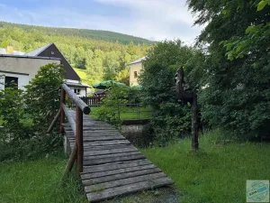 Prodej chalupy, Ludvíkov, 510 m2