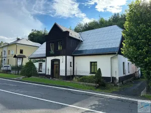 Prodej chalupy, Ludvíkov, 510 m2