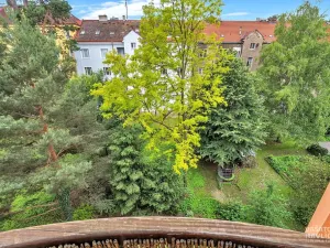 Pronájem bytu 3+1, Hradec Králové, Mánesova, 100 m2