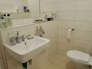 Pronájem bytu 1+kk, Brno, Příční, 42 m2