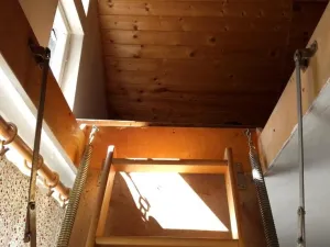 Prodej chaty, Červená Řečice - Těchoraz, 46 m2