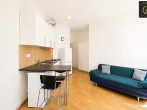 Pronájem bytu 1+kk, Praha - Libeň, Lihovarská, 25 m2