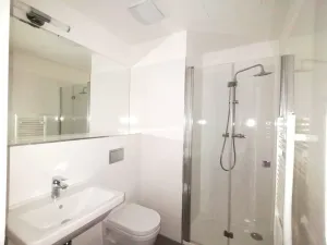 Pronájem bytu 1+kk, Praha - Vinohrady, Perucká, 27 m2