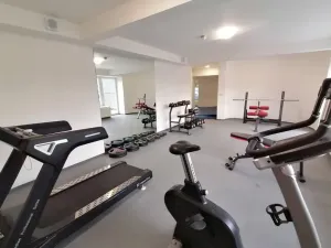 Pronájem bytu 1+kk, Praha - Vinohrady, Perucká, 27 m2