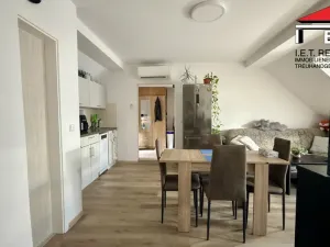 Prodej činžovního domu, Veselí nad Lužnicí, Malé náměstí, 303 m2