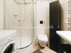 Pronájem bytu 1+kk, Praha - Vysočany, Freyova, 32 m2