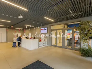 Pronájem bytu 1+kk, Praha - Vysočany, Freyova, 32 m2