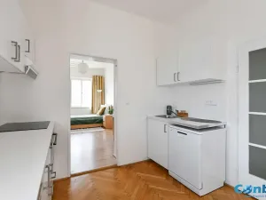 Pronájem bytu 2+1, Praha - Nusle, Doudlebská, 60 m2