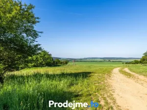 Prodej pozemku pro bydlení, Písečné - Marketa, 23167 m2
