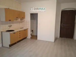 Pronájem bytu 1+kk, Plzeň - Jižní Předměstí, Hřímalého, 26 m2