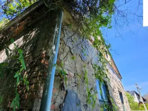 Prodej restaurace, Nemile, 189 m2