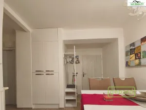 Pronájem bytu 1+1, Plzeň, Arbesova, 36 m2