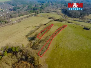 Prodej zahrady, Kladruby - Vrbice u Stříbra, 15633 m2