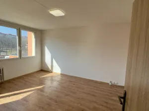 Pronájem bytu 1+1, Most, K. H. Borovského, 26 m2