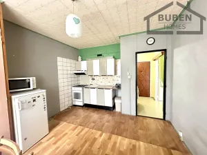 Pronájem bytu 1+1, Bor, Borská, 48 m2