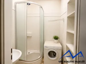 Pronájem bytu 1+1, Ostrava, Opavská, 36 m2