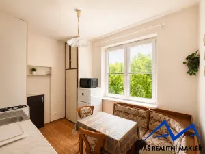 Pronájem bytu 1+1, Ostrava, Opavská, 36 m2