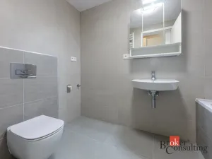 Pronájem bytu 2+kk, Plzeň - Východní Předměstí, Zahradní, 69 m2