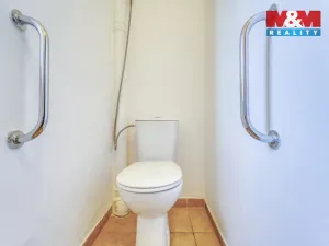 Pronájem rodinného domu, Dlažov, 223 m2