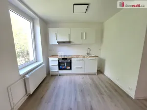 Pronájem bytu 1+1, Ústí nad Labem - Ústí nad Labem-centrum, Masarykova, 40 m2