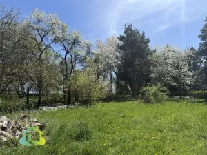 Prodej pozemku pro bydlení, Opařany - Oltyně, 1000 m2