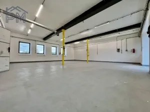 Pronájem výrobních prostor, Velké Němčice, 136 m2