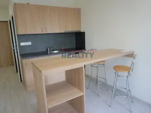 Pronájem bytu 1+kk, České Budějovice - České Budějovice 2, Labská, 27 m2