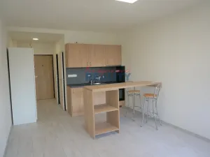 Pronájem bytu 1+kk, České Budějovice - České Budějovice 2, Labská, 27 m2