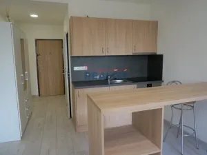 Pronájem bytu 1+kk, České Budějovice - České Budějovice 2, Labská, 27 m2