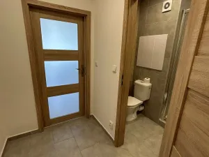 Pronájem bytu 1+kk, Ostrava, Sládkova, 28 m2