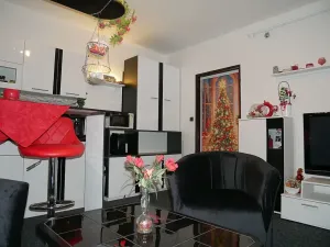 Pronájem bytu 1+kk, Brno, Malešovská, 30 m2