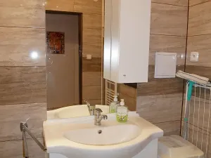 Pronájem bytu 1+kk, Brno, Malešovská, 30 m2