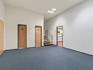 Prodej komerční nemovitosti, Praha - Petrovice, Novopetrovická, 1433 m2