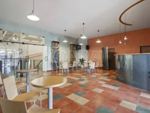 Prodej pozemku pro bydlení, Praha - Petrovice, Novopetrovická, 4543 m2