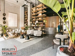 Pronájem bytu 1+kk, Brno, Bratislavská, 26 m2