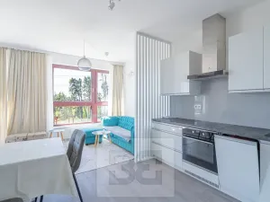 Pronájem bytu 1+kk, Beroun, Na Veselou, 44 m2