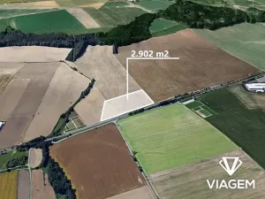 Prodej pole, Vysoké Mýto, 2902 m2