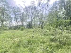 Prodej pozemku, Liberec - Liberec XXIII-Doubí, Malodoubská, 9589 m2