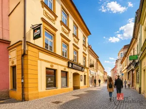 Prodej historického objektu, Litoměřice - Litoměřice-Město, Novobranská, 499 m2