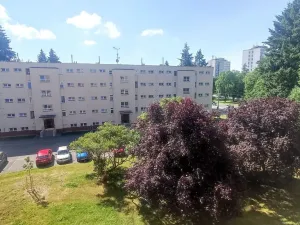 Prodej bytu 2+1, Hradec Králové, Labská kotlina, 53 m2