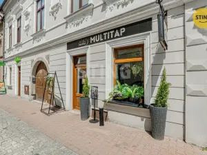 Prodej komerční nemovitosti, Český Těšín, 84 m2