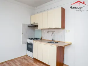 Prodej bytu 1+1, Teplice - Trnovany, Julia Payera, 36 m2