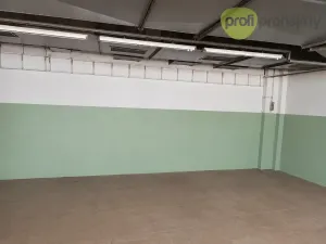 Pronájem skladu, Zlín, Šedesátá, 240 m2