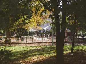 Pronájem bytu 3+kk, Brno, Jaselská, 65 m2