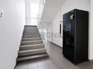 Pronájem kanceláře, Brno, Vinohradská, 15 m2